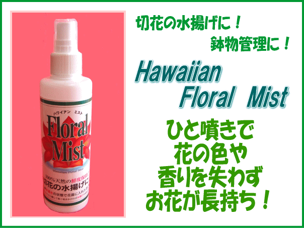 再入荷】ハワイアンフローラルミスト（ハワイアンミスト）切り花活性剤
